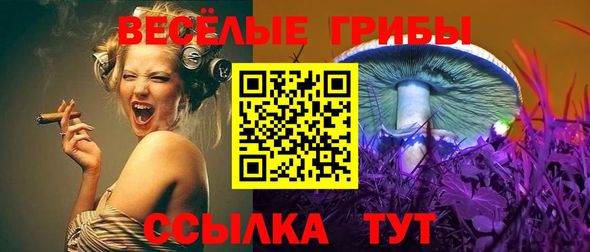Галлюциногенные грибы GOLDEN TEACHER Скопин